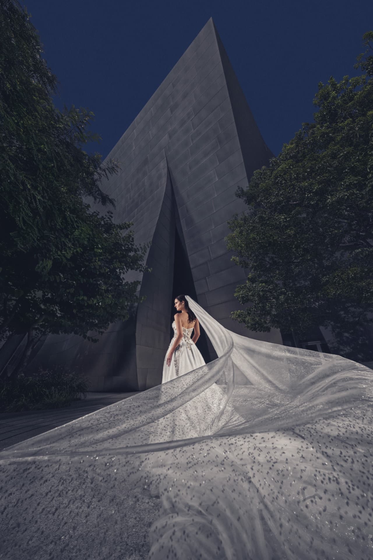 Wedding at Walt Disney Concert Hall, Los Angeles